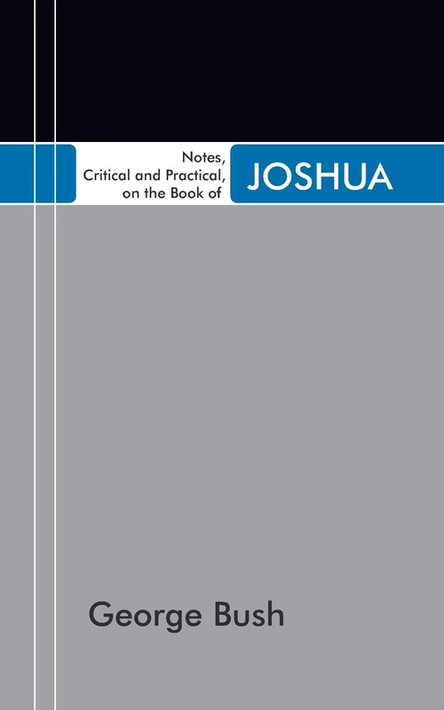 Cover of Notes, Critical and Practical, on the Book of Joshua