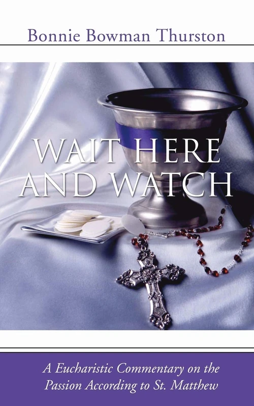 Cover of Wait Here and Watch