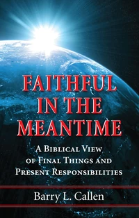 Cover of Faithful in the Meantime