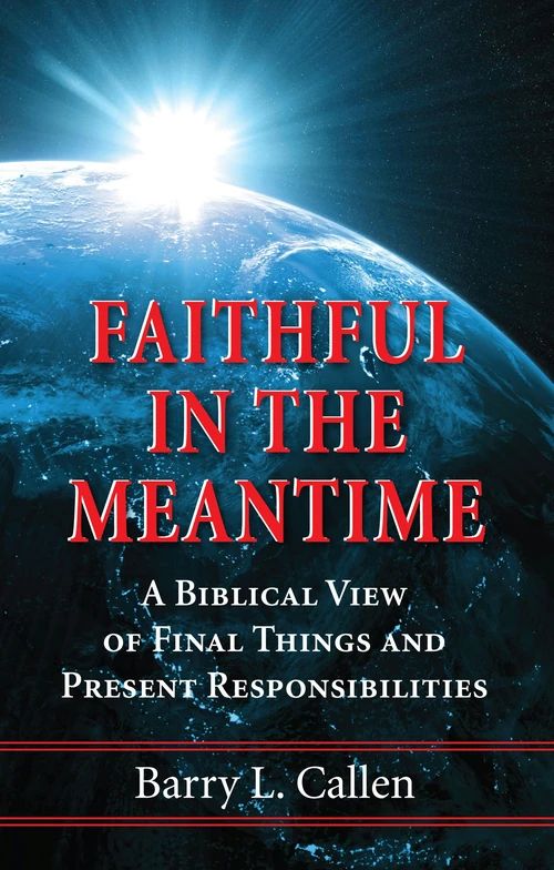 Cover of Faithful in the Meantime