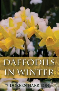 Cover of Daffodils in Winter