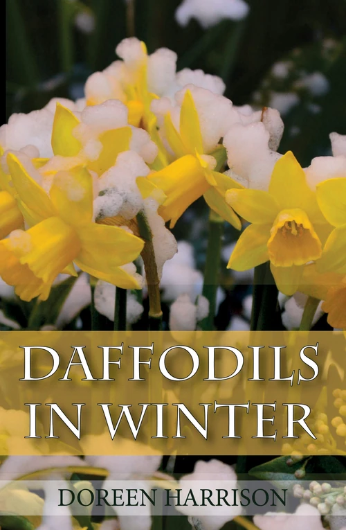 Cover of Daffodils in Winter