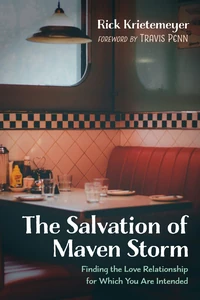 Cover of The Salvation of Maven Storm