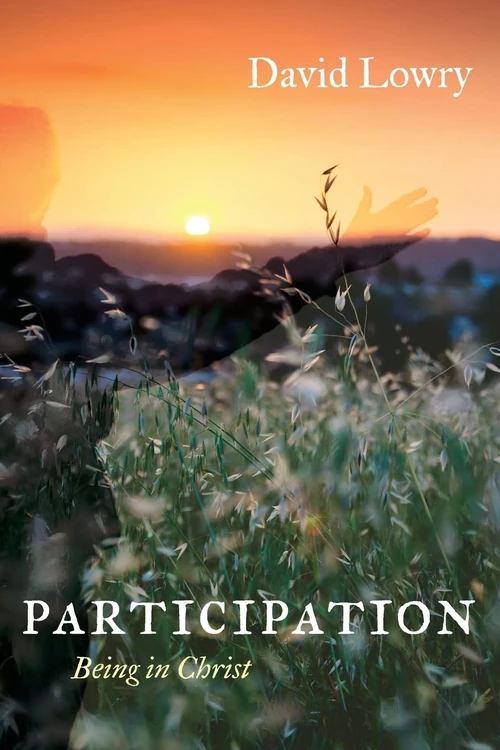 Cover of Participation