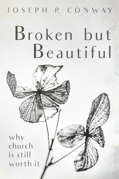 Cover of Broken but Beautiful