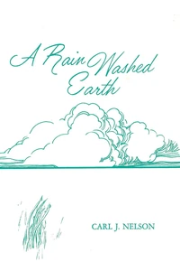 Cover of A Rain Washed Earth