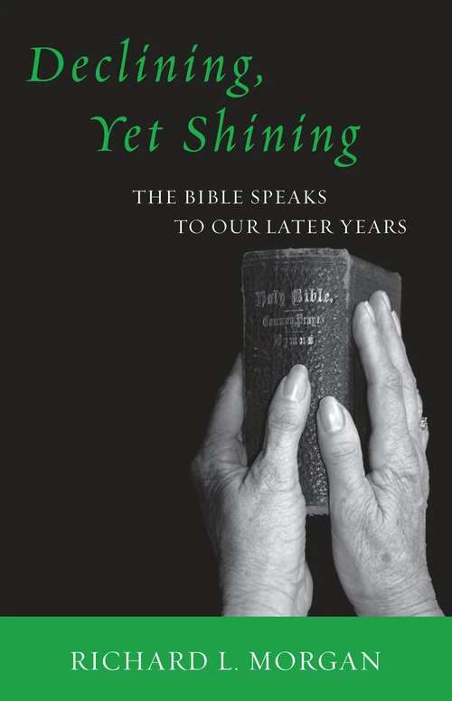 Cover of Declining, Yet Shining