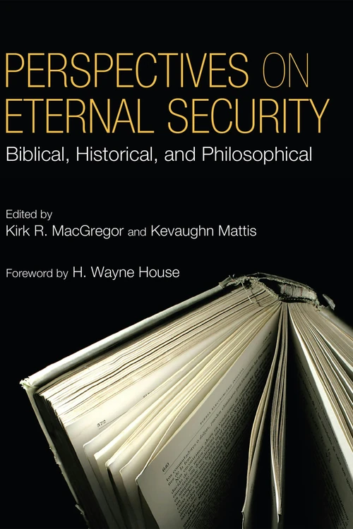 Cover of Perspectives on Eternal Security