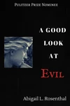 Cover of A Good Look at Evil