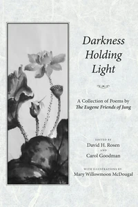 Cover of Darkness Holding Light