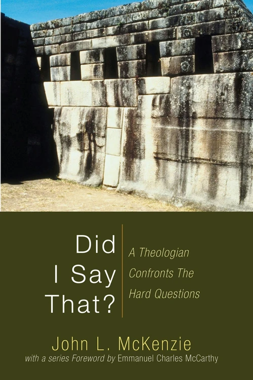 Cover of Did I Say That?