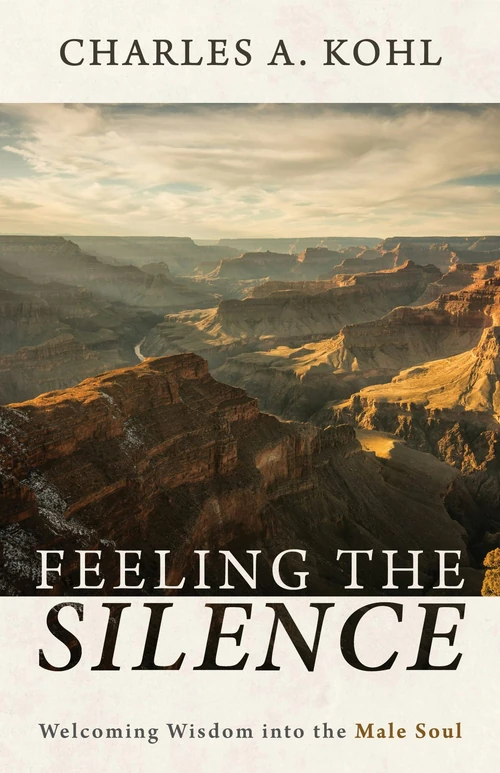 Cover of Feeling the Silence
