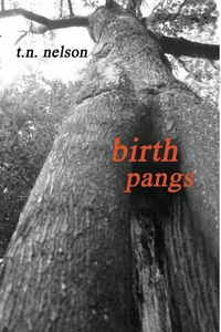 Cover of Birth Pangs