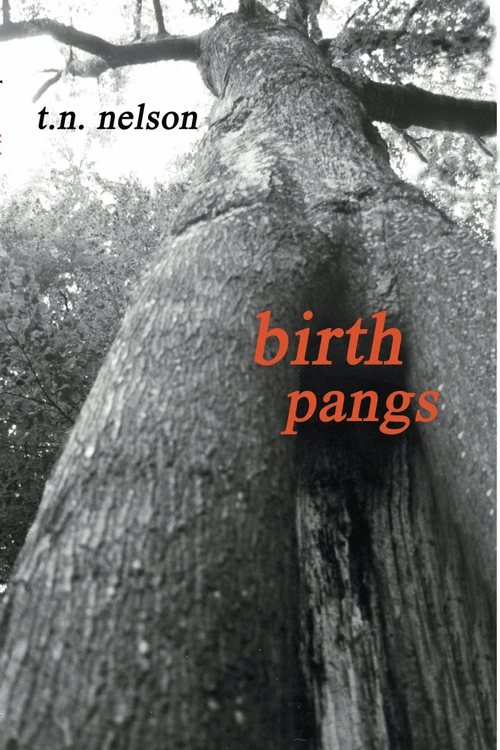 Cover of Birth Pangs