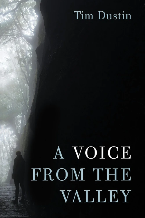 Cover of A Voice from the Valley