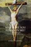 Cover of Why Have You Forsaken Me?