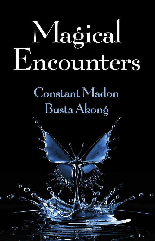 Cover of Magical Encounters