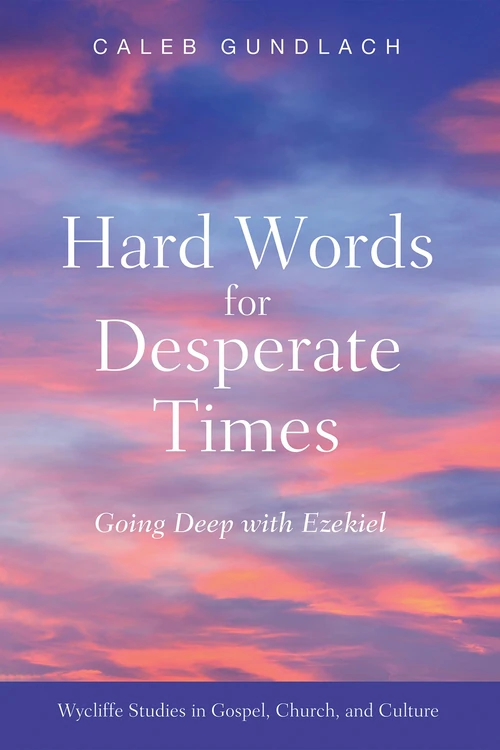Cover of Hard Words for Desperate Times
