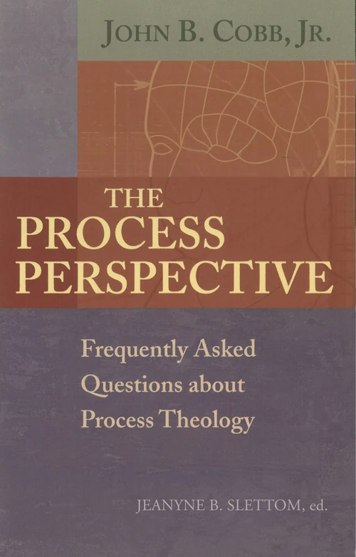 Cover of The Process Perspective