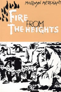 Cover of Fire From the Heights