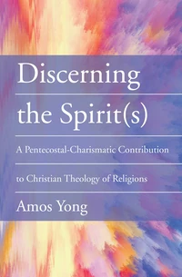Cover of Discerning the Spirit(s)