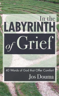 Cover of In the Labyrinth of Grief