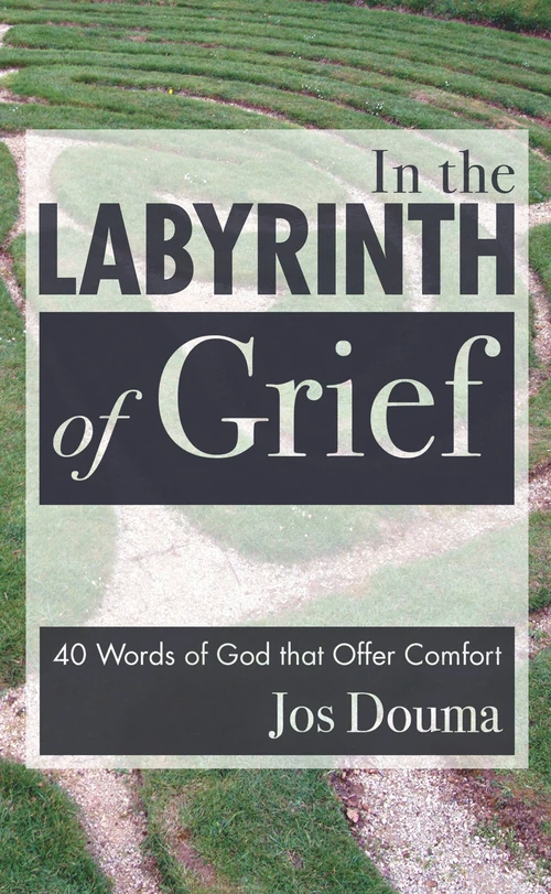 Cover of In the Labyrinth of Grief