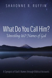 Cover of What Do You Call Him? Unveiling 160 Names of God