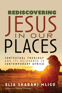 Cover of Rediscovering Jesus in Our Places