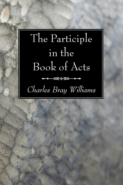 Cover of The Participle in the Book of Acts