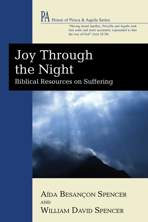 Cover of Joy Through the Night