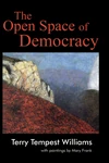 Cover of The Open Space of Democracy