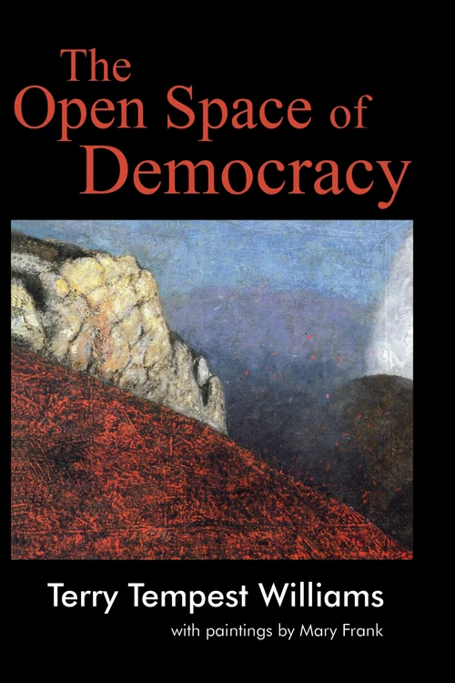 Cover of The Open Space of Democracy