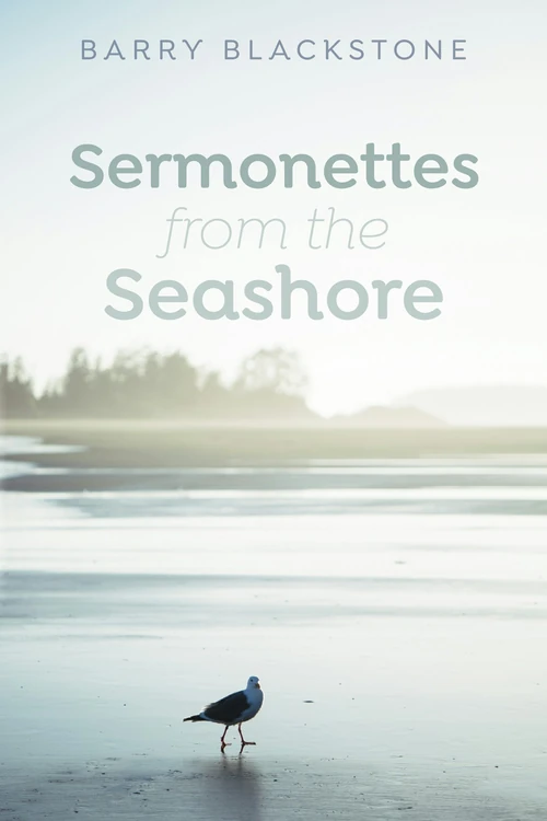 Cover of Sermonettes from the Seashore