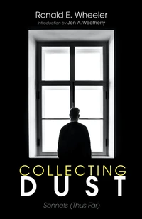Cover of Collecting Dust