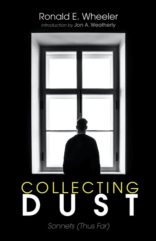 Cover of Collecting Dust