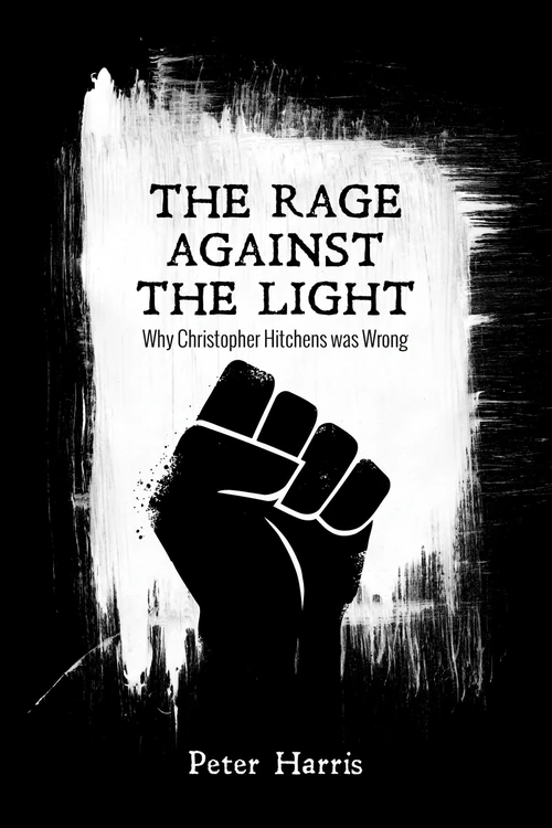 Cover of The Rage Against the Light