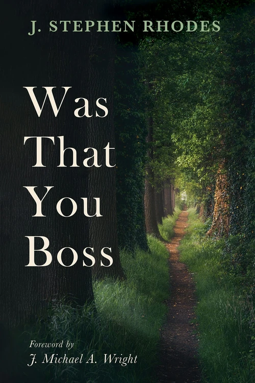 Cover of Was That You Boss