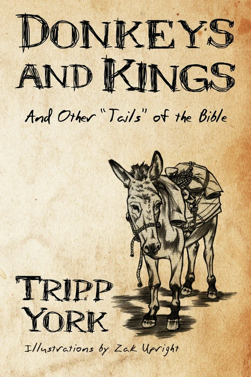 Cover of Donkeys and Kings