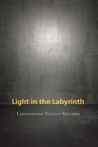 Cover of Light in the Labyrinth
