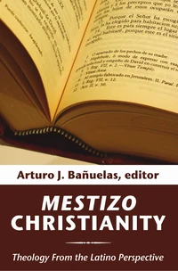 Cover of Mestizo Christianity