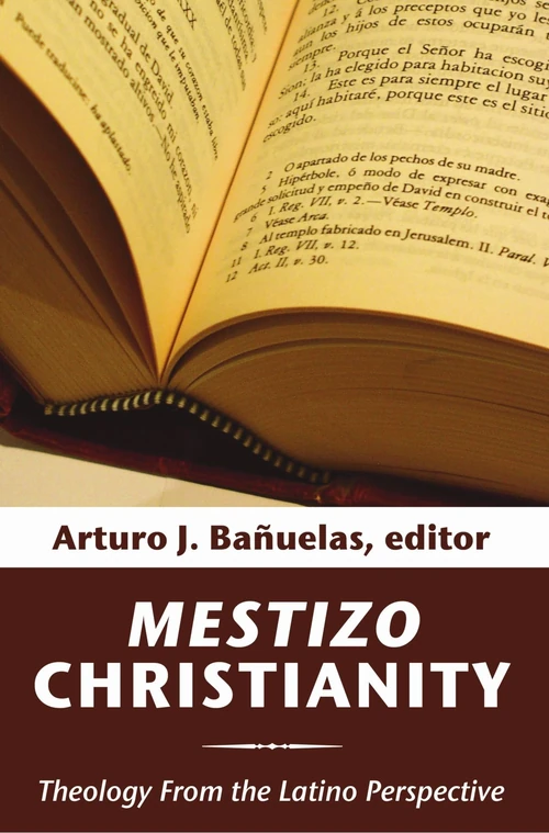 Cover of Mestizo Christianity