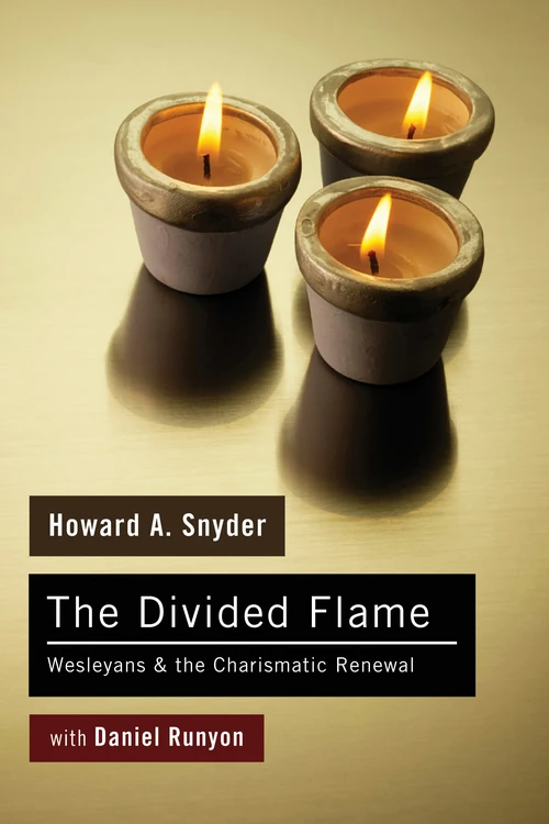 Cover of The Divided Flame