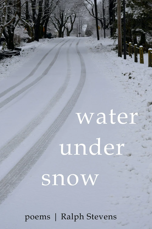 Cover of Water under Snow