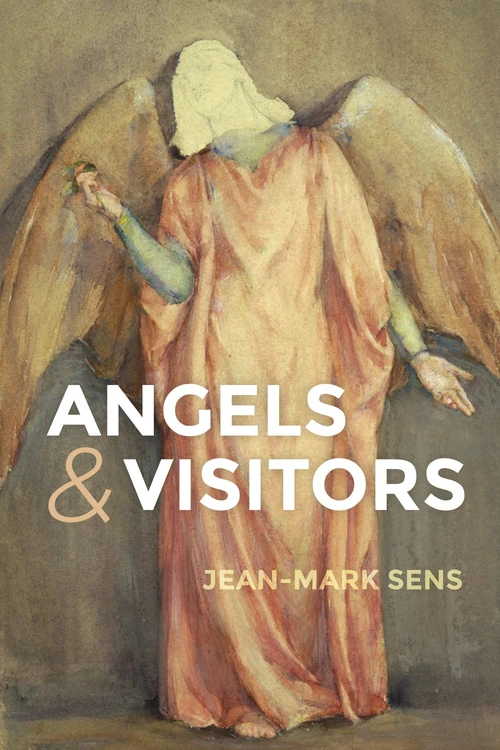 Cover of Angels and Visitors