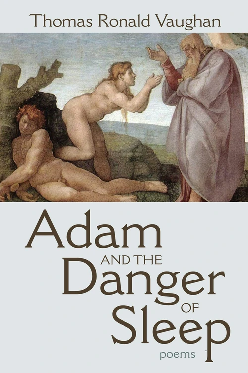Cover of Adam and the Danger of Sleep