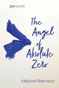 Cover of The Angel of Absolute Zero