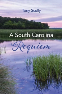 Cover of A South Carolina Requiem