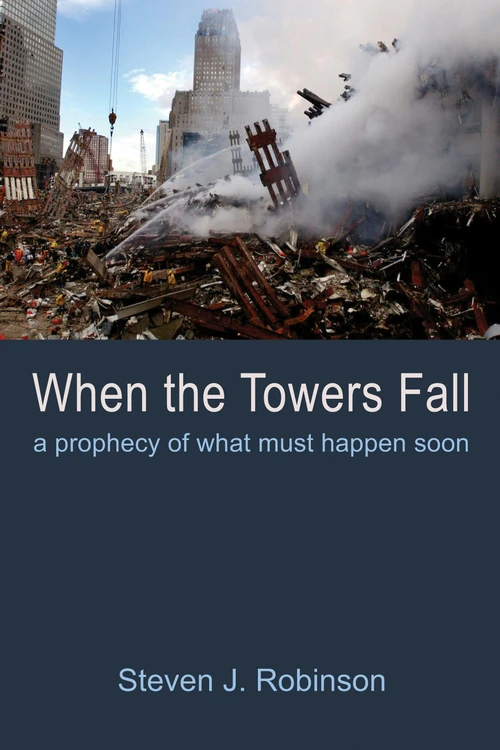 Cover of When the Towers Fall