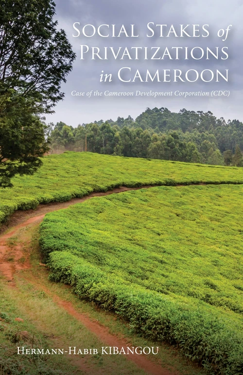 Cover of Social Stakes of Privatizations in Cameroon